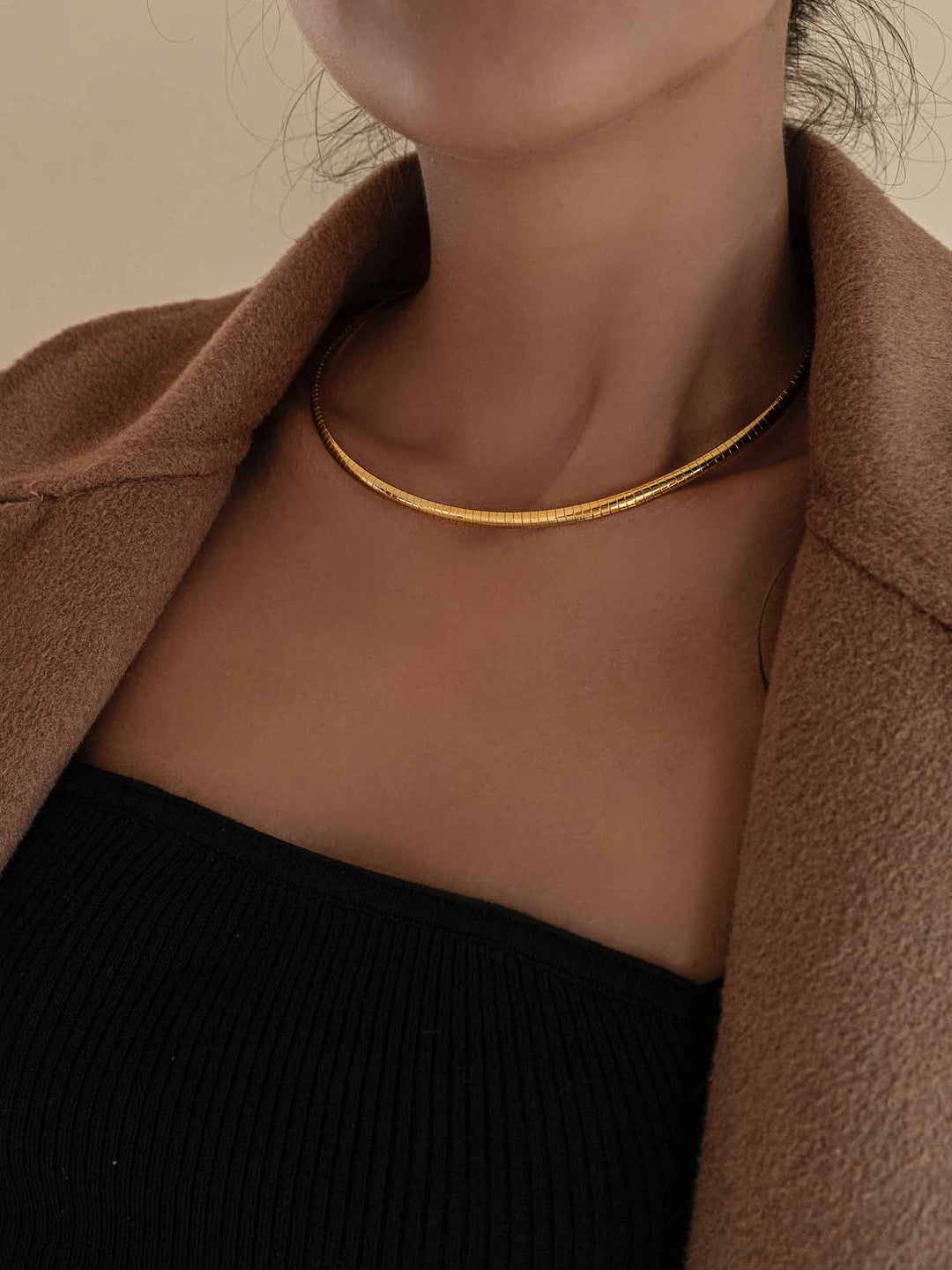 Kiera Snake Chain Choker Necklace