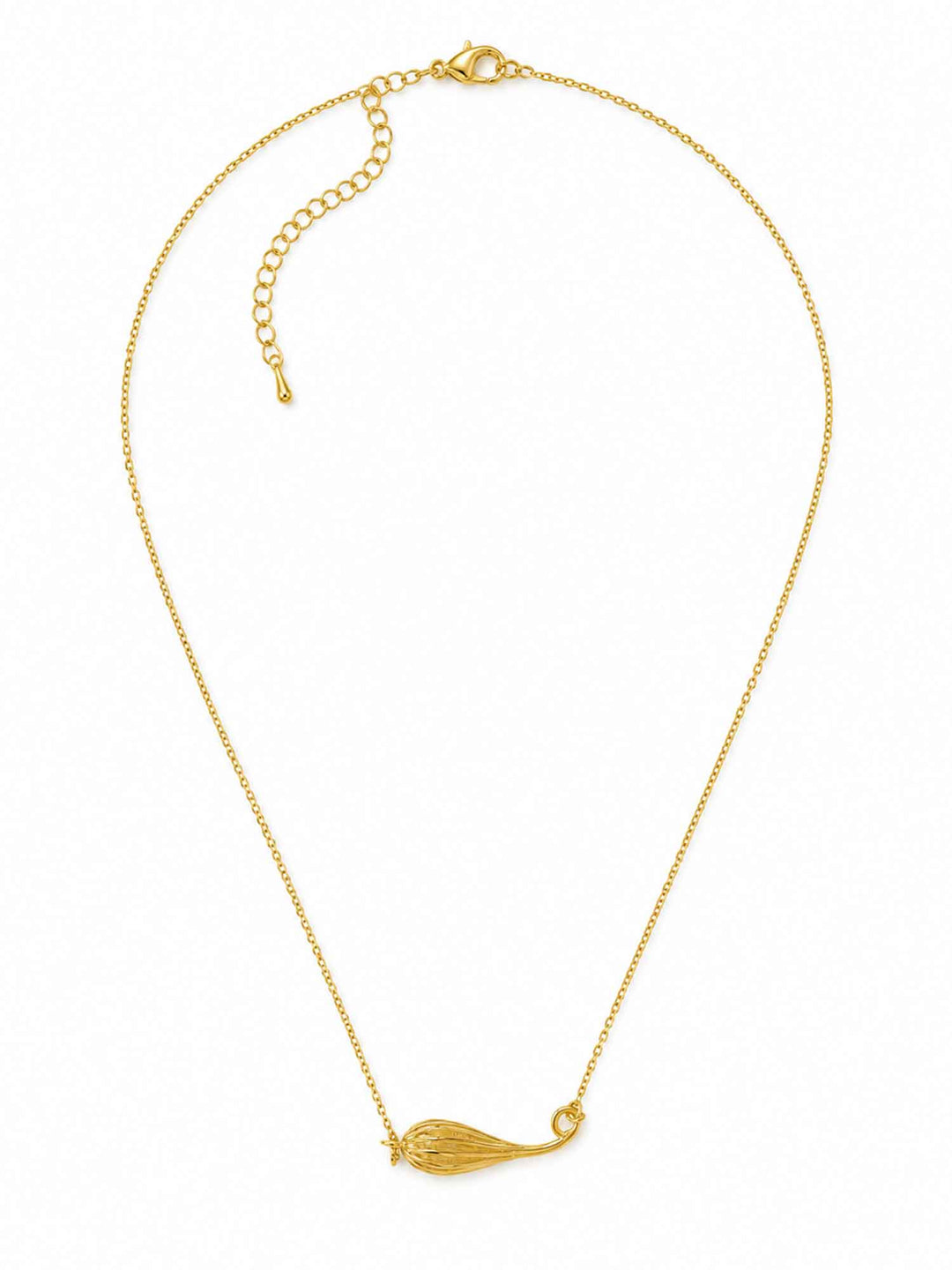 Full view of Fernanda gold shell pendant necklace with adjustable chain