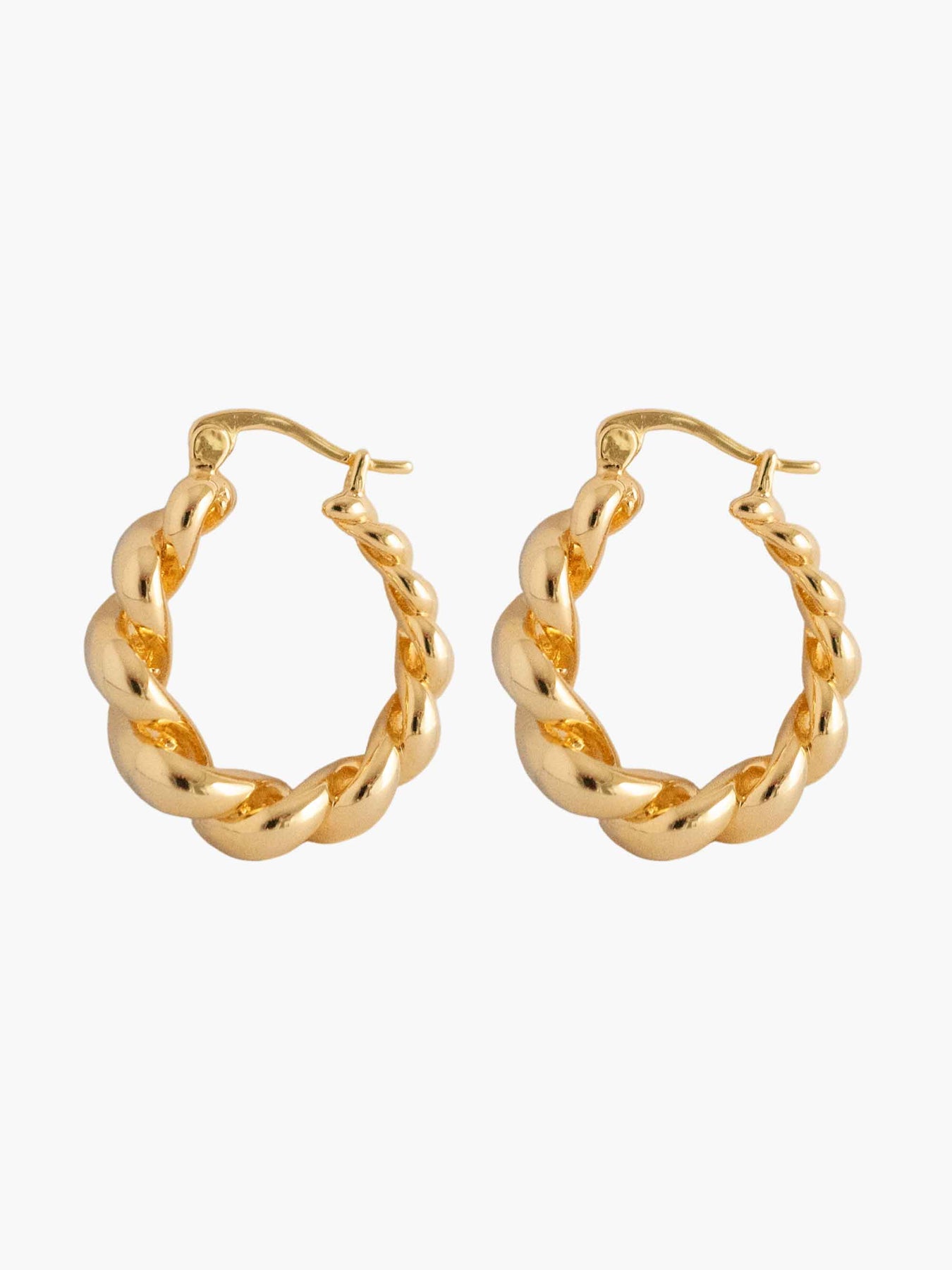 Ivona Hoop Earrings